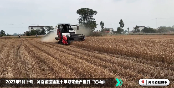 麦收大会战！总收获机忙！忙！忙！